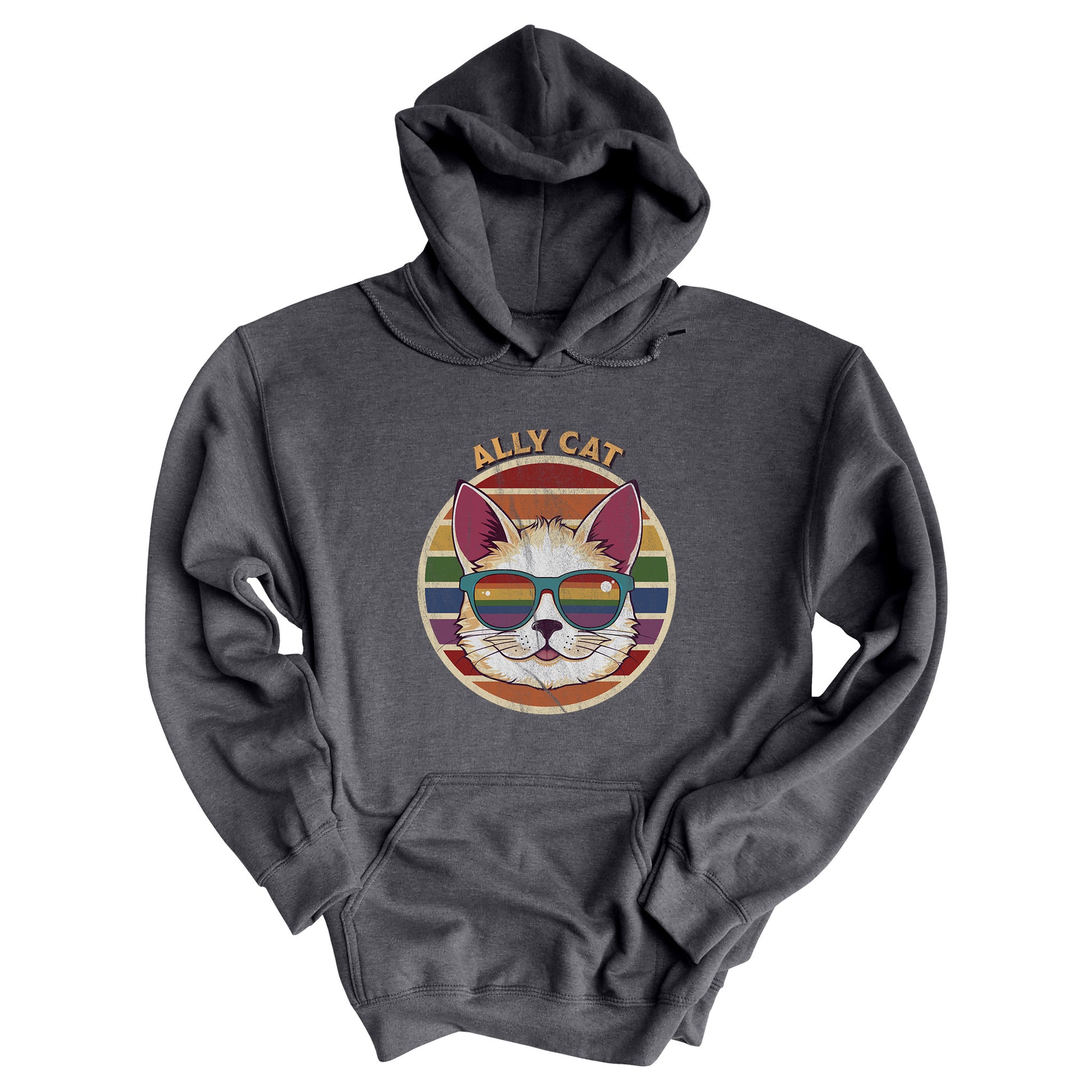 Dark Heather color unisex hoodie with a circular retro-inspired image of a cat wearing rainbow sunglasses with a retro sunset made from parallel lines behind it. The text reads “ALLY CAT” in all caps, arched over the image. The graphic has a retro, worn texture.