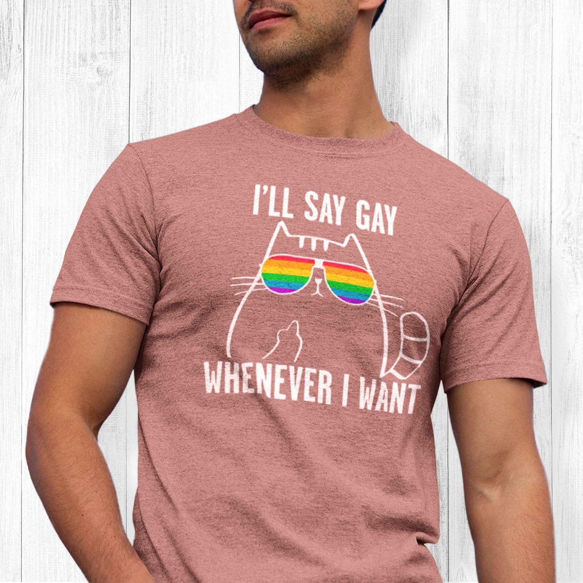 Heather Mauve color unisex t-shirt with a graphic of a cat wearing rainbow sunglasses. The text says, “I’ll Say Gay Whenever I Want” with the words “I’ll say gay” above the graphic and the rest of the text below the graphic. The cat is also holding up its middle finger.