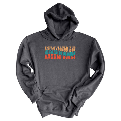 Dark Heather color unisex hoodie with a graphic that says “Introverted but willing to discuss banned books” in a retro, 1970s bubble font. Each line is a different color. The graphic is slightly distressed.